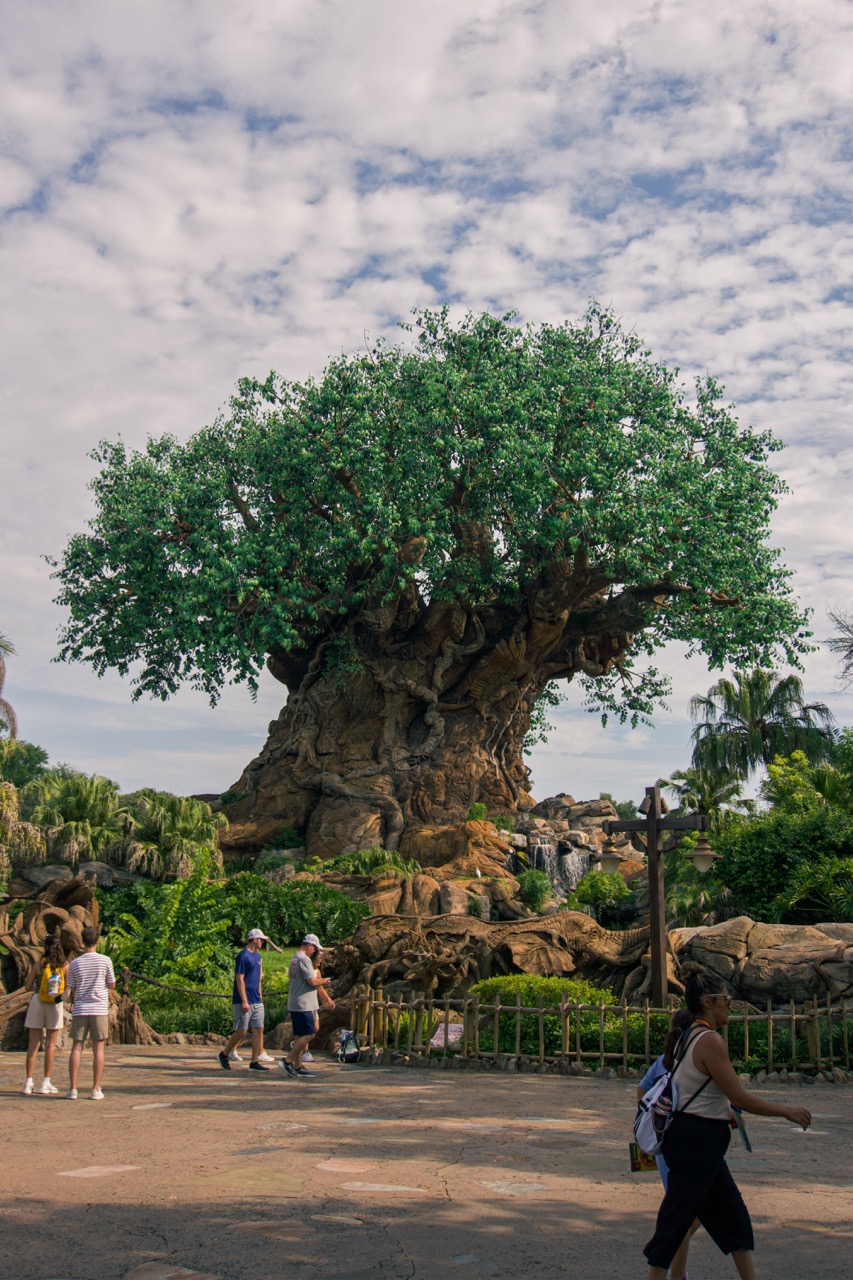 Animal Kingdom