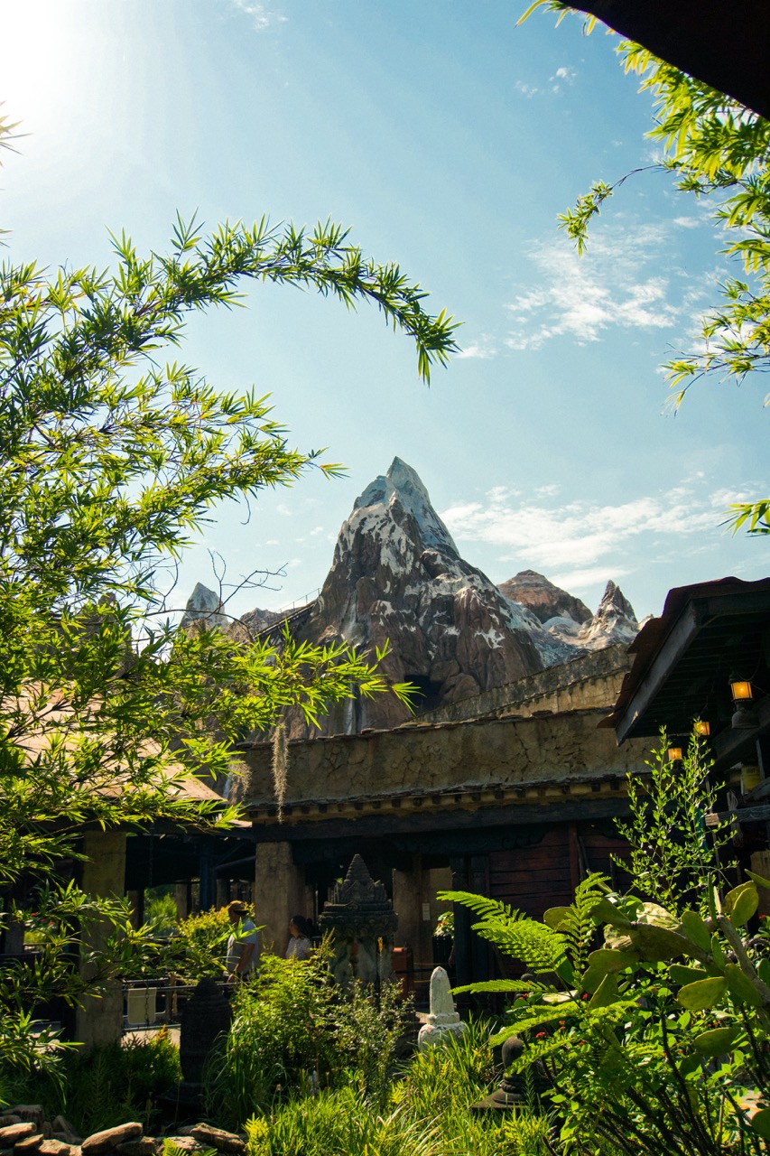 Animal Kingdom 2