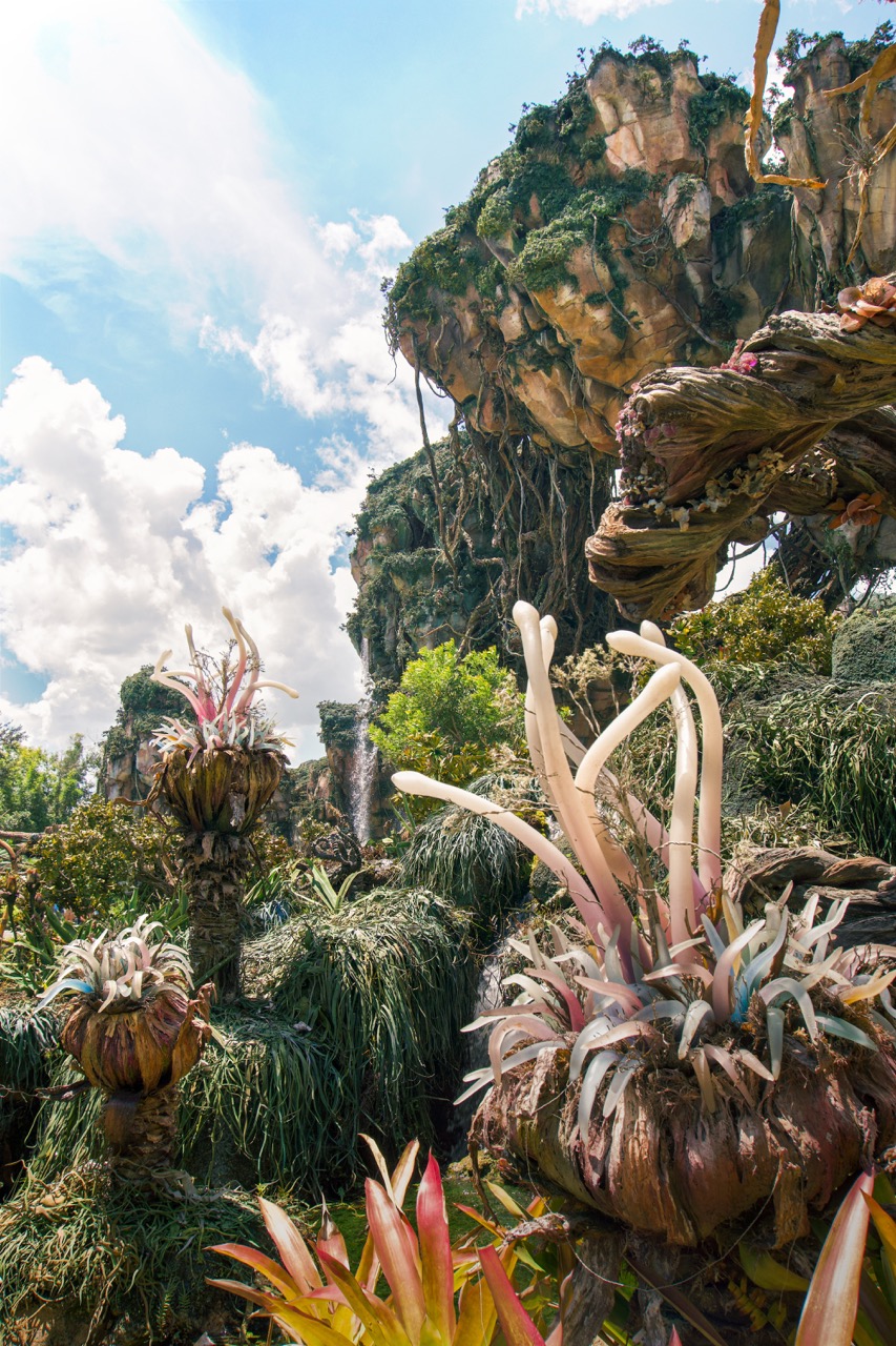 Animal Kingdom 3
