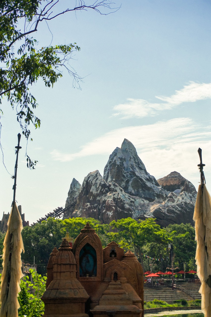 Animal Kingdom 4