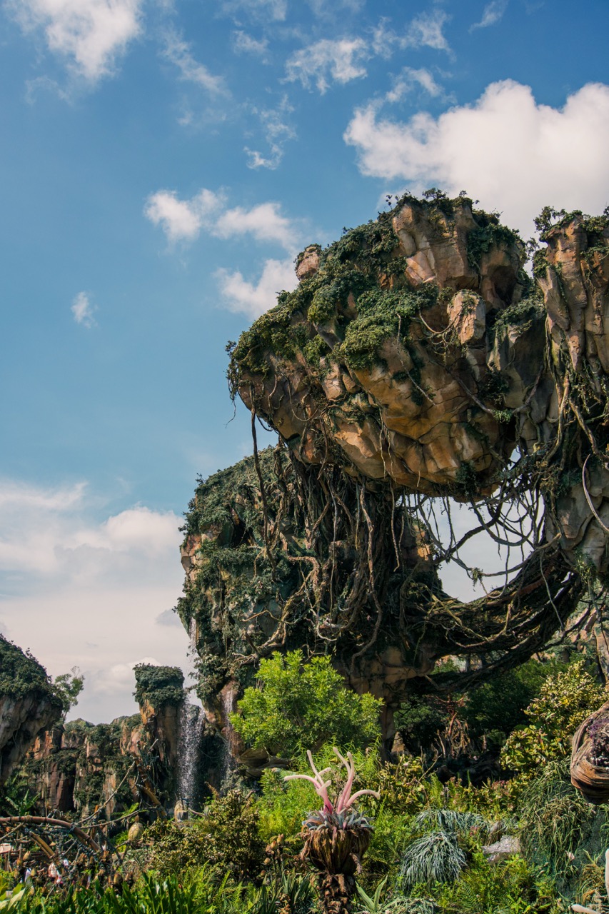 Animal Kingdom 5