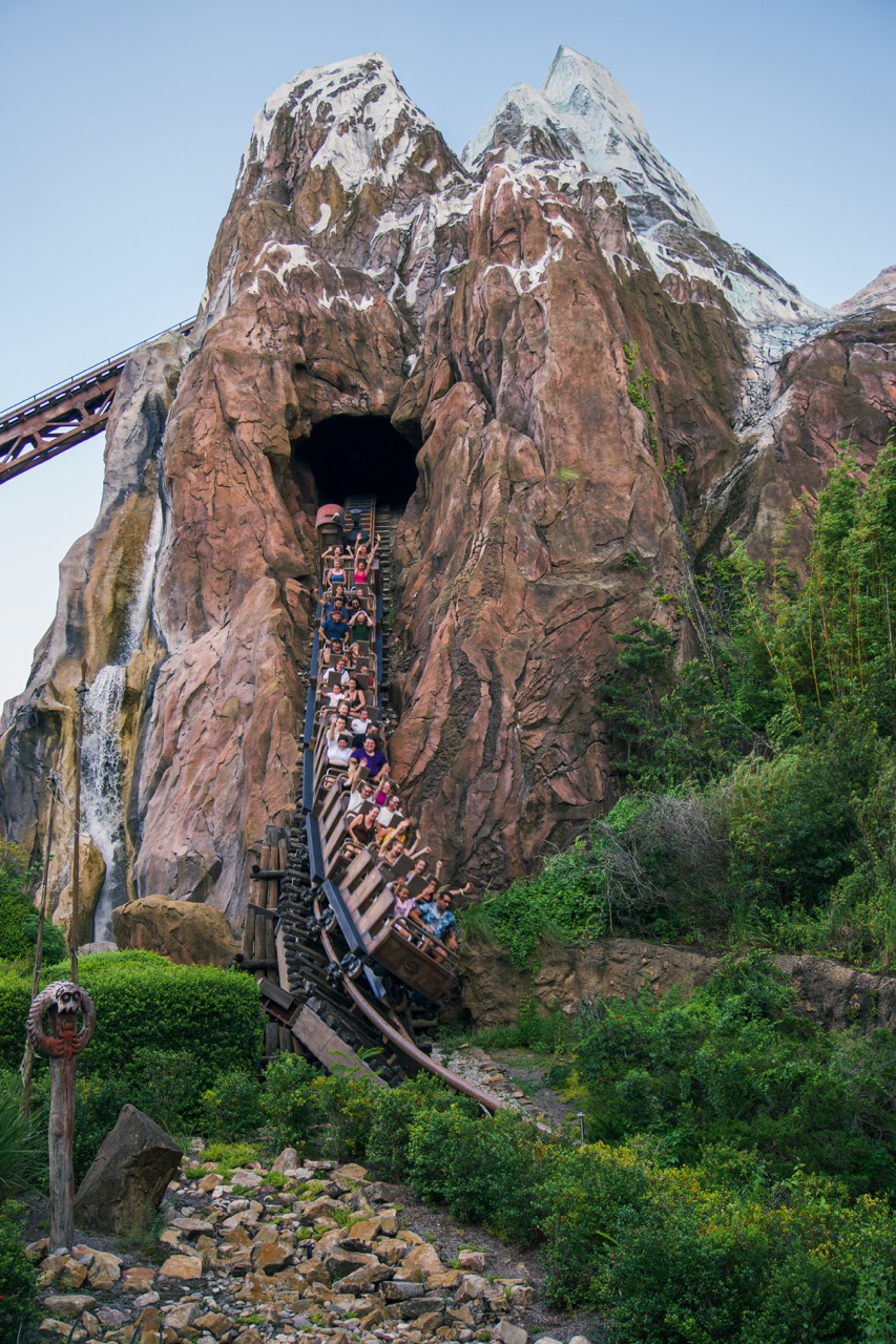 Animal Kingdom 7