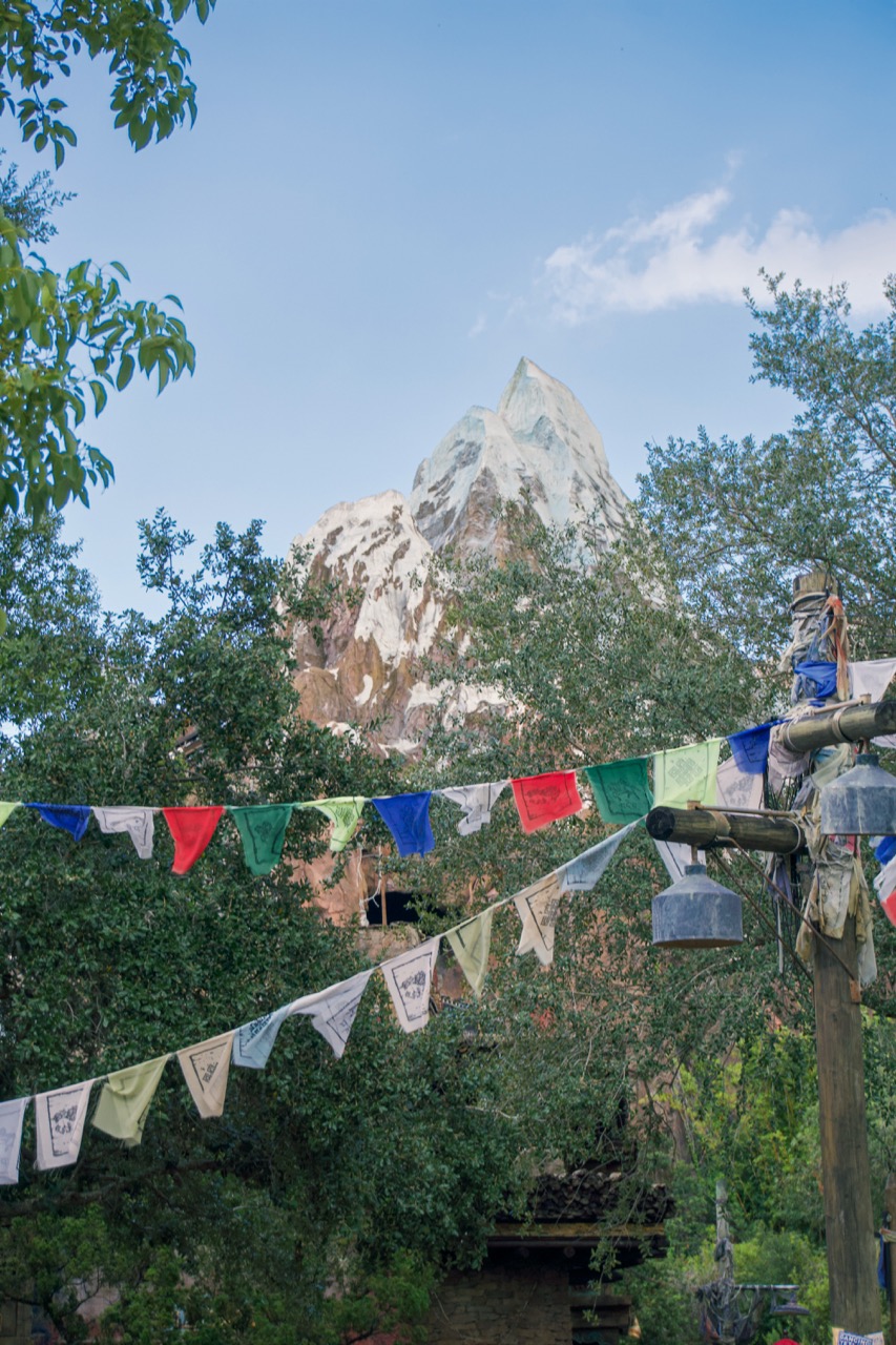 Animal Kingdom 9