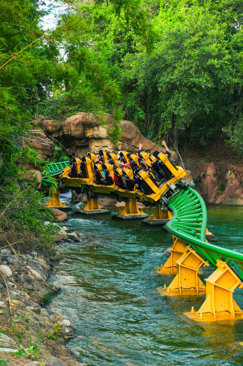 Busch Gardens 11