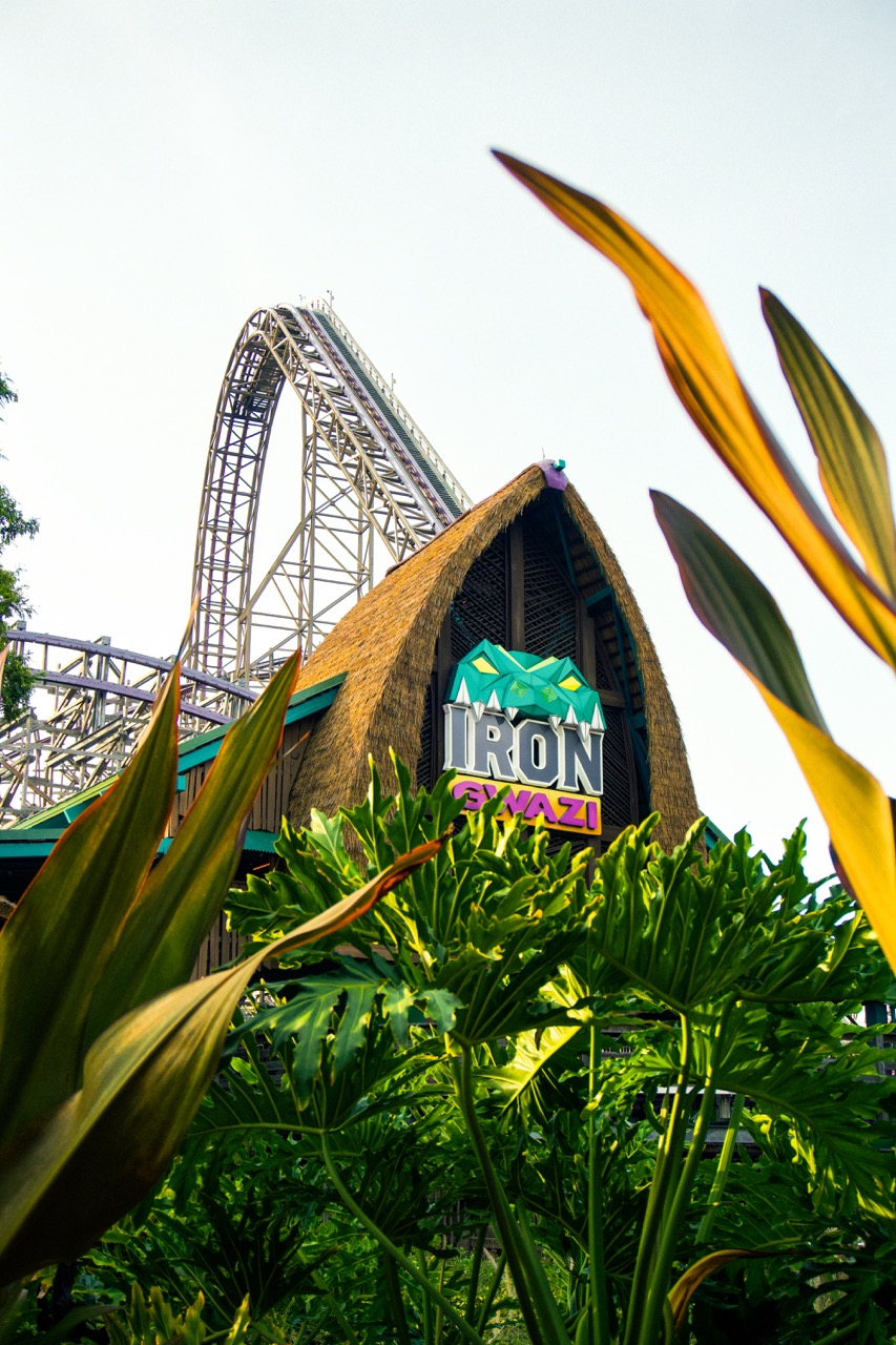Busch Gardens 5