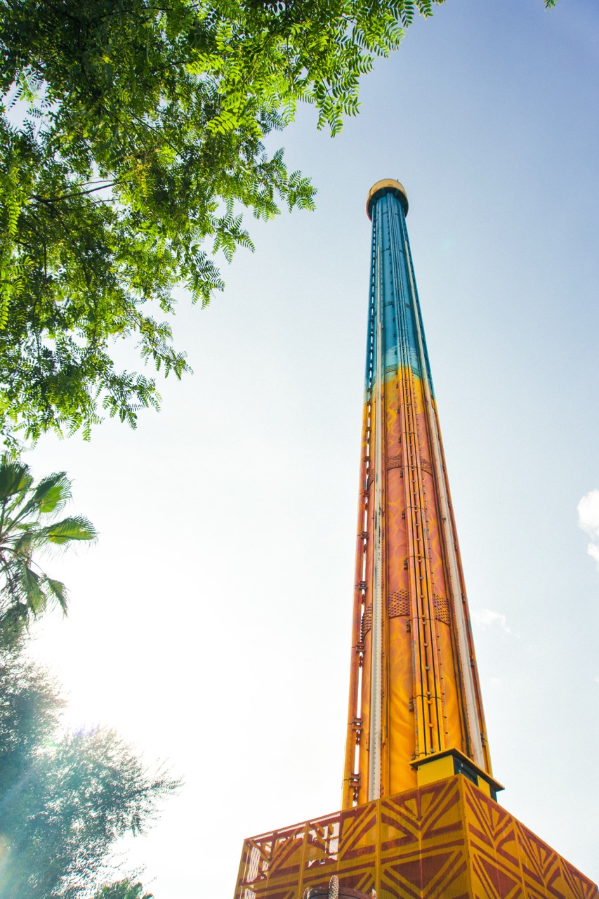 Busch Gardens 8